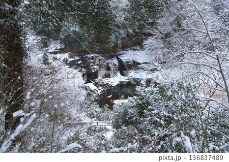 那須烏山市　龍門の滝　雪が降った2月 136837489