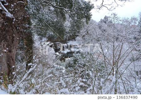 那須烏山市　龍門の滝　雪が降った2月 136837490