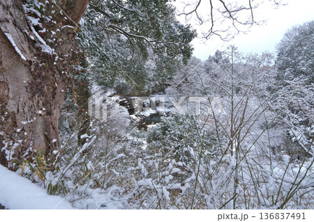 那須烏山市 龍門の滝 雪が降った2月 那須烏山市 龍門の滝 雪が降った2月 136837491