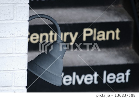屋外階段の段差に記された植物名リスト。モダンなエクステリアデザイン 屋外階段の段差に記された植物名リスト。モダンなエクステリアデザイン 136837589