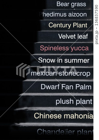 屋外階段の段差に記された植物名リスト。モダンなエクステリアデザイン 136837590