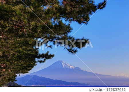 三保の松原からの早朝の富士山 三保の松原からの早朝の富士山 136837632