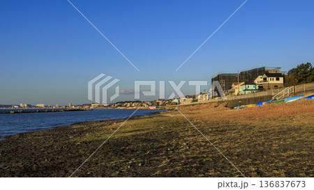野比海岸水仙ロードの冬 136837673