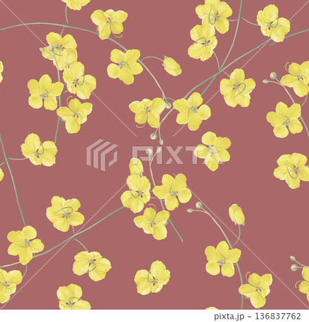 Floral seamless pattern, yellow golden shower flowers on dark red 136837762