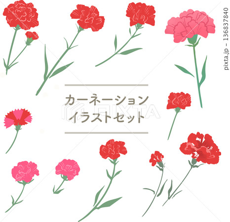カーネーションの花イラストセット（母の日・春素材 136837840