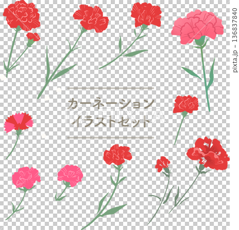 カーネーションの花イラストセット（母の日・春素材 136837840