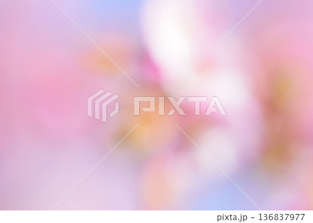 ピンク系 背景素材 ピンク系 背景素材 136837977