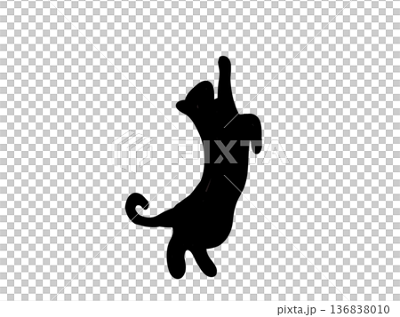 Silhouette of a cat curious about something above Silhouette of a cat curious about something above 136838010
