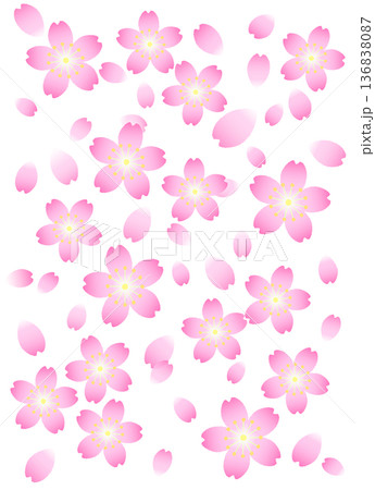 桜と花びらの背景 136838087