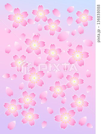 桜のピンクのグラデーション背景 桜のピンクのグラデーション背景 136838088
