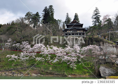 福島県柳津町　福満虚空藏菩薩圓藏寺　春の風景・桜 136838385