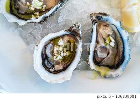 Fresh Oysters on Ice with Lemon A Culinary Delight for Seafood Lovers and Gourmet Dining Fresh Oysters on Ice with Lemon A Culinary Delight for Seafood Lovers and Gourmet Dining 136839081