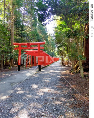 南宮大社の鳥居 南宮大社の鳥居 136839180