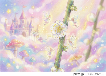 月ヶ瀬梅林の枝垂れ梅白・メルヘン 136839250