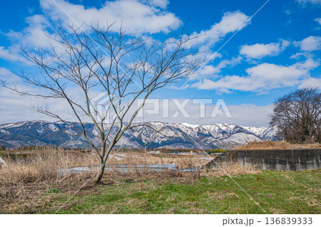 浅春の知内川風景 滋賀県高島市マキノ町 浅春の知内川風景 滋賀県高島市マキノ町 136839333