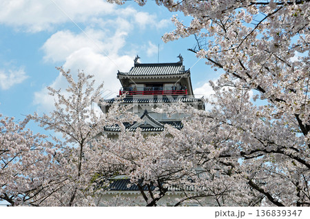 福島県会津若松市　鶴ヶ城天守閣と桜　2010年5月撮影　黒瓦最後の春 136839347