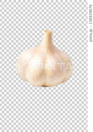 大蒜水彩插畫素材 | 簡單易用的烹飪蔬菜 136839676