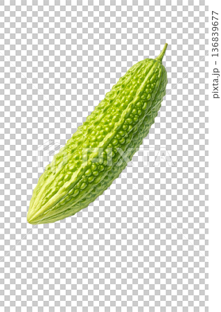 ゴーヤの水彩イラスト素材｜夏野菜のシンプルでかわいいモチーフ 136839677