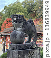 太宰府天満宮の狛犬と紅葉 福岡県太宰府市 秋の風景 136839949