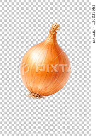 洋蔥水彩插畫素材 | 簡單易用的蔬菜圖案，適合烹飪 136839963