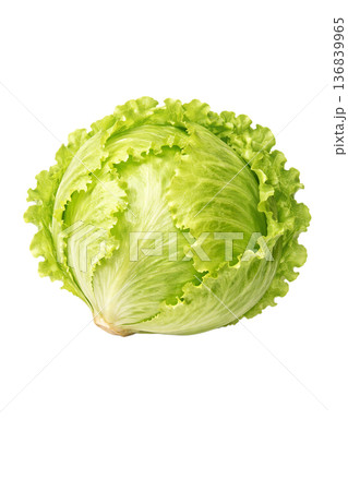 レタスの水彩イラスト素材｜新鮮でかわいい葉物野菜モチーフ 136839965