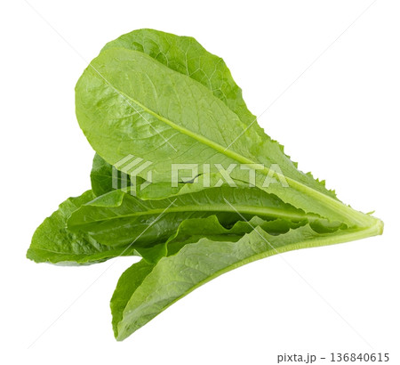 Lettuce Romain isolated on a white background 136840615