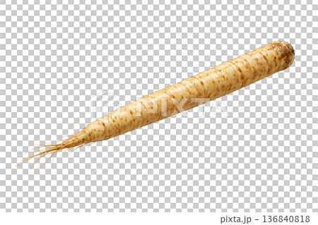 牛蒡根與土壤的水彩插圖 | 天然根莖類蔬菜圖案 136840818