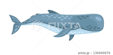 Cartoon whale character with big tail. Funny ocean mammal animal. Cute happy giant beluga with blue eyes. Scandinavian tropical childish clipart for print, kids clothing and nursery decor Cartoon whale character with big tail. Funny ocean mammal animal. Cute happy giant beluga with blue eyes. Scandinavian tropical childish clipart for print, kids clothing and nursery decor 136840878
