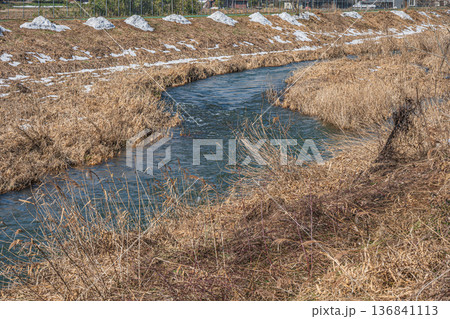 浅春の知内川風景　滋賀県高島市マキノ町 136841113