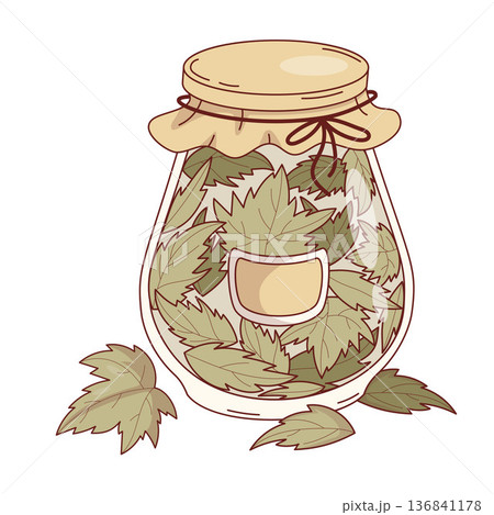 Homemade Herbal Tea in Kitchen storage Jar. Organic Dried Currant Leaves. Infusion Mix in Rustic Glass container for Wellness and Health. Vector Illustration Homemade Herbal Tea in Kitchen storage Jar. Organic Dried Currant Leaves. Infusion Mix in Rustic Glass container for Wellness and Health. Vector Illustration 136841178
