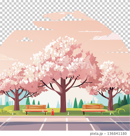 春日公園裡一排盛開的櫻花樹的插圖 136841180