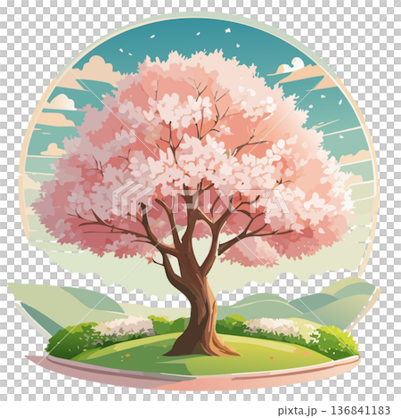 圓形畫框中的櫻花樹插圖 136841183