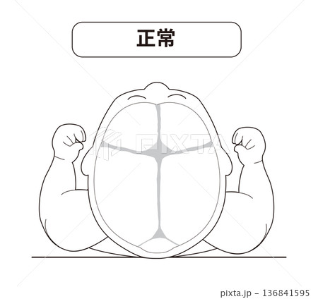 白黒線画 赤ちゃんが寝ている際の頭の向きによって頭の形に歪みが生じるメカニズム、正常な寝方の赤ちゃん 白黒線画 赤ちゃんが寝ている際の頭の向きによって頭の形に歪みが生じるメカニズム、正常な寝方の赤ちゃん 136841595