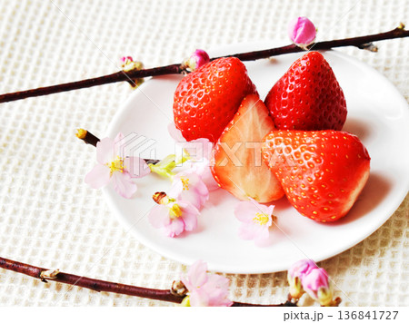 お皿にのせた大粒いちごと啓翁桜と梅の花とのクローズアップ 白バック お皿にのせた大粒いちごと啓翁桜と梅の花とのクローズアップ 白バック 136841727