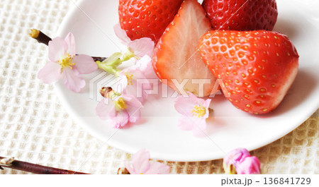 お皿にのせた大粒いちごと啓翁桜と梅の花とのクローズアップ 白バック お皿にのせた大粒いちごと啓翁桜と梅の花とのクローズアップ 白バック 136841729