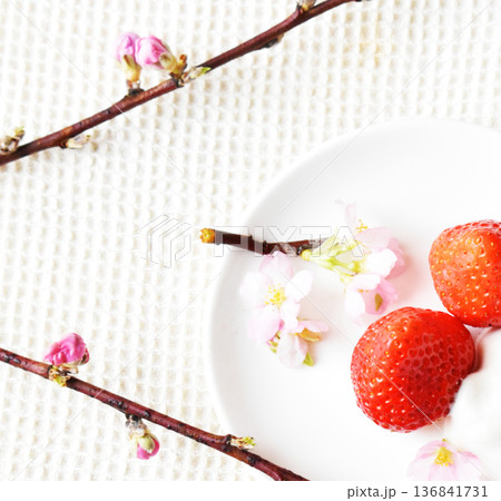 お皿にのせた大粒いちごと啓翁桜と梅の花とのクローズアップ 白バック お皿にのせた大粒いちごと啓翁桜と梅の花とのクローズアップ 白バック 136841731