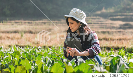 woman is sitting in a field of green plants, looking at her tablet woman is sitting in a field of green plants, looking at her tablet 136841765