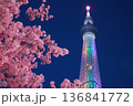 スカイツリーと河津桜2 136841772