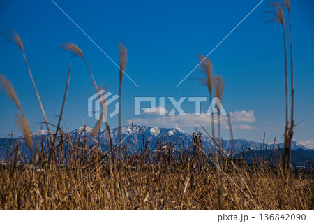 早春の河川敷 136842090