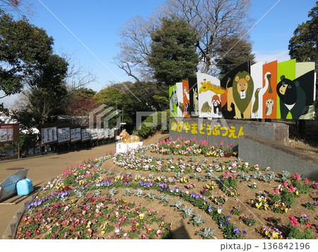 横浜市の野毛山動物園(入口付近の記念撮影スポット) 横浜市の野毛山動物園(入口付近の記念撮影スポット) 136842196