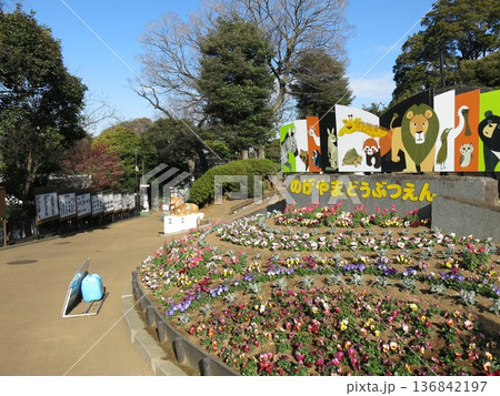 横浜市の野毛山動物園(入口付近の記念撮影スポット) 横浜市の野毛山動物園(入口付近の記念撮影スポット) 136842197