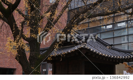 Autumn Leaves on a Traditional Korean Pavilion Roof Autumn Leaves on a Traditional Korean Pavilion Roof 136842992