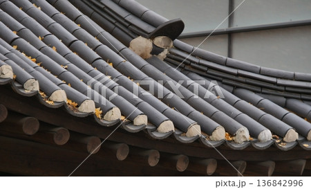 Autumn Leaves on a Traditional Korean Pavilion Roof Autumn Leaves on a Traditional Korean Pavilion Roof 136842996