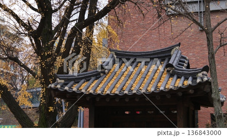 Autumn Leaves on a Traditional Korean Pavilion Roof Autumn Leaves on a Traditional Korean Pavilion Roof 136843000