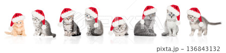 Set of cute kittens in Santa Claus hats isolated on white background 136843132