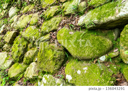 【続日本100名城】初秋の引田城跡　北二の丸の石垣のクローズアップ1　香川県東かがわ市 136843291
