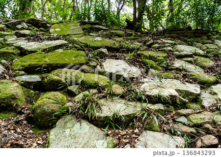 【続日本100名城】初秋の引田城跡　北二の丸の石垣のクローズアップ2　香川県東かがわ市 136843293