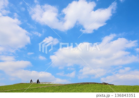 2月下旬のひたち海浜公園 136843351