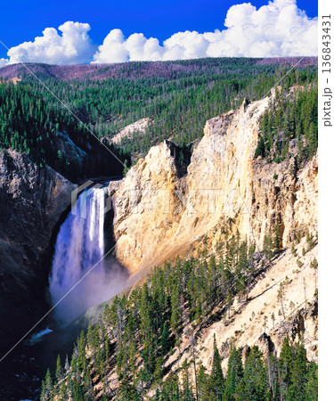 イエローストーン国立公園のロウアー滝の景観 136843431