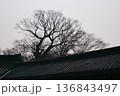 Traditional Korean Architecture in Seoul 136843497
